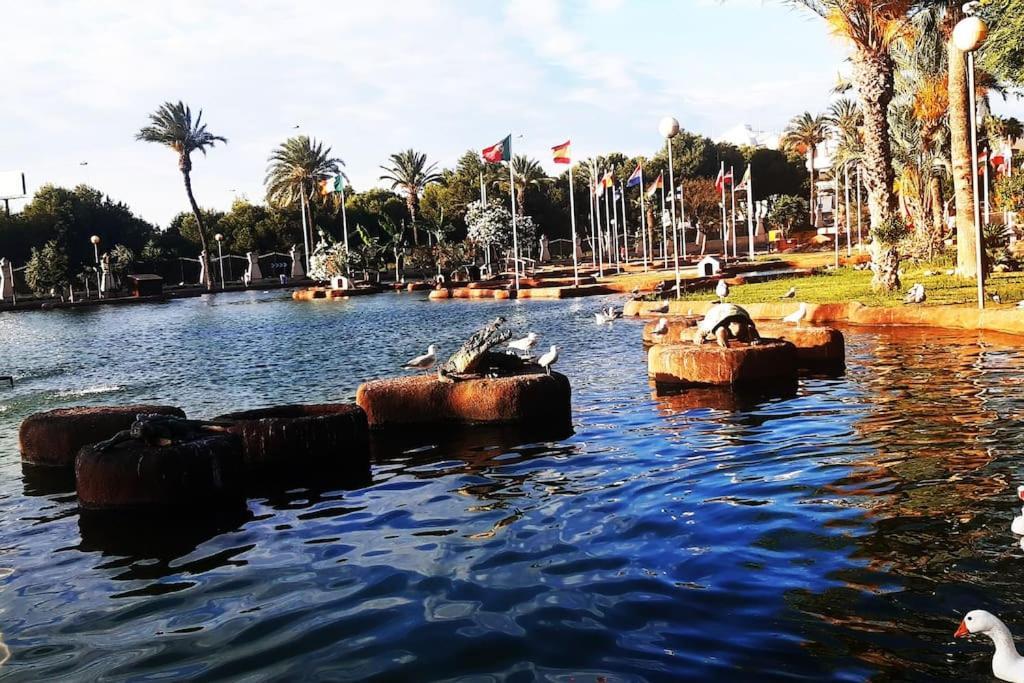 Adventure Harbour Torrevieja Exterior foto